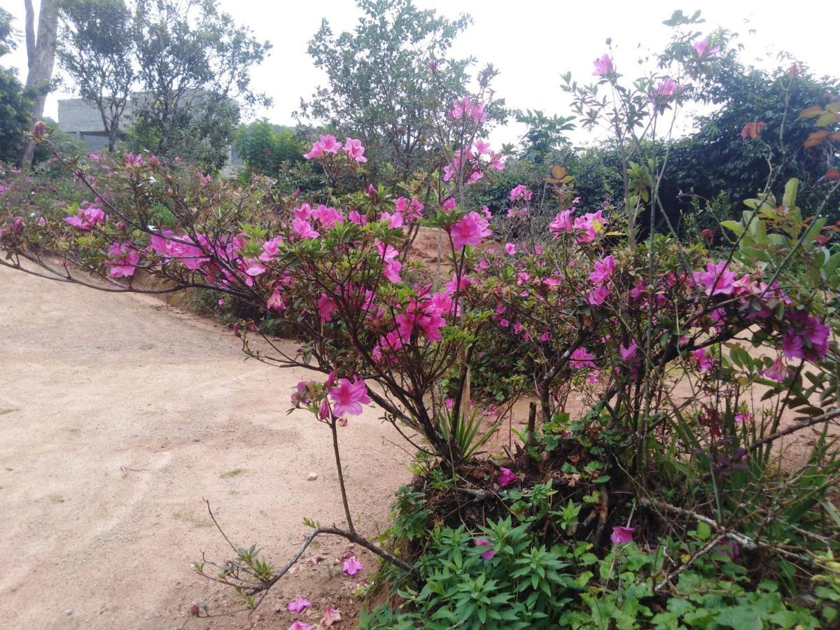 Forest Cyniciam Homestay Охия Экстерьер фото