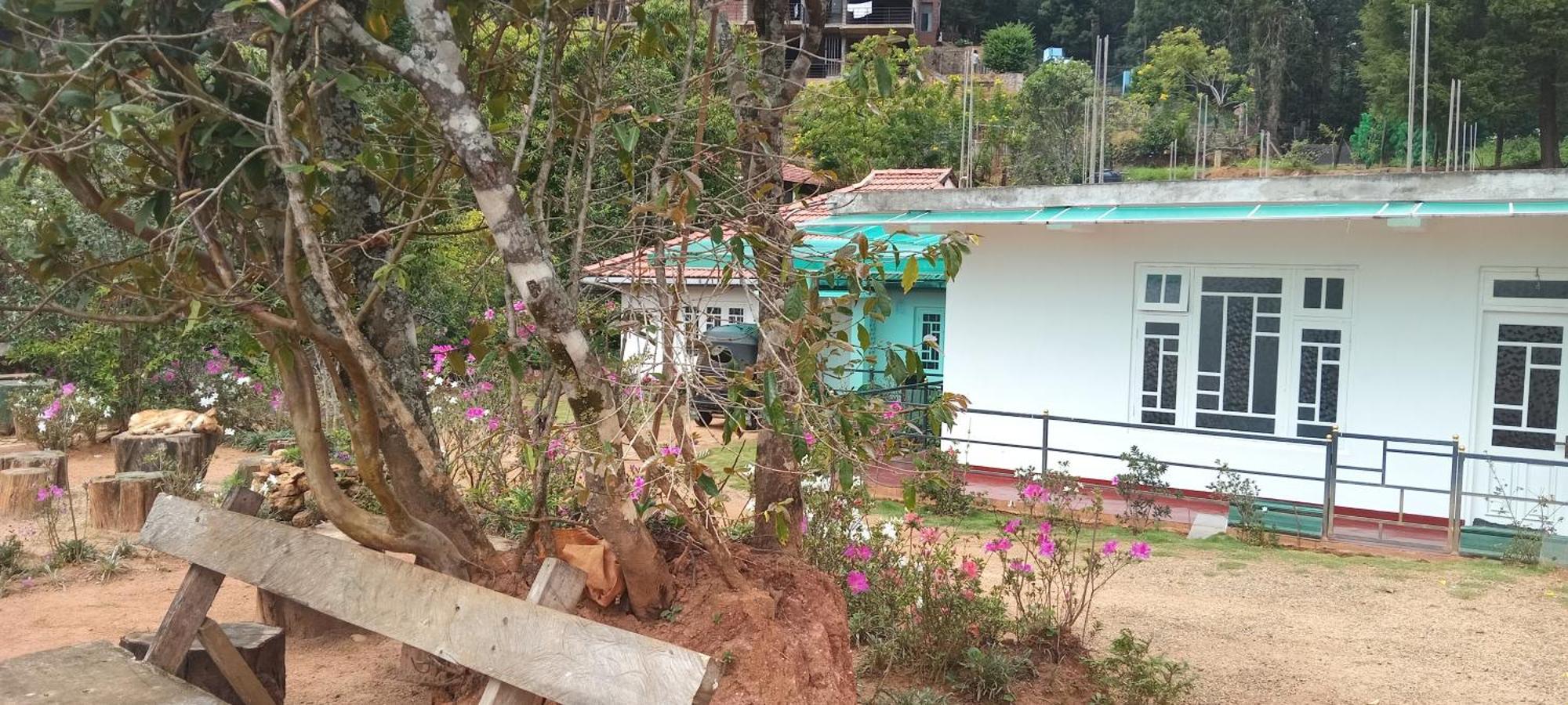 Forest Cyniciam Homestay Охия Экстерьер фото