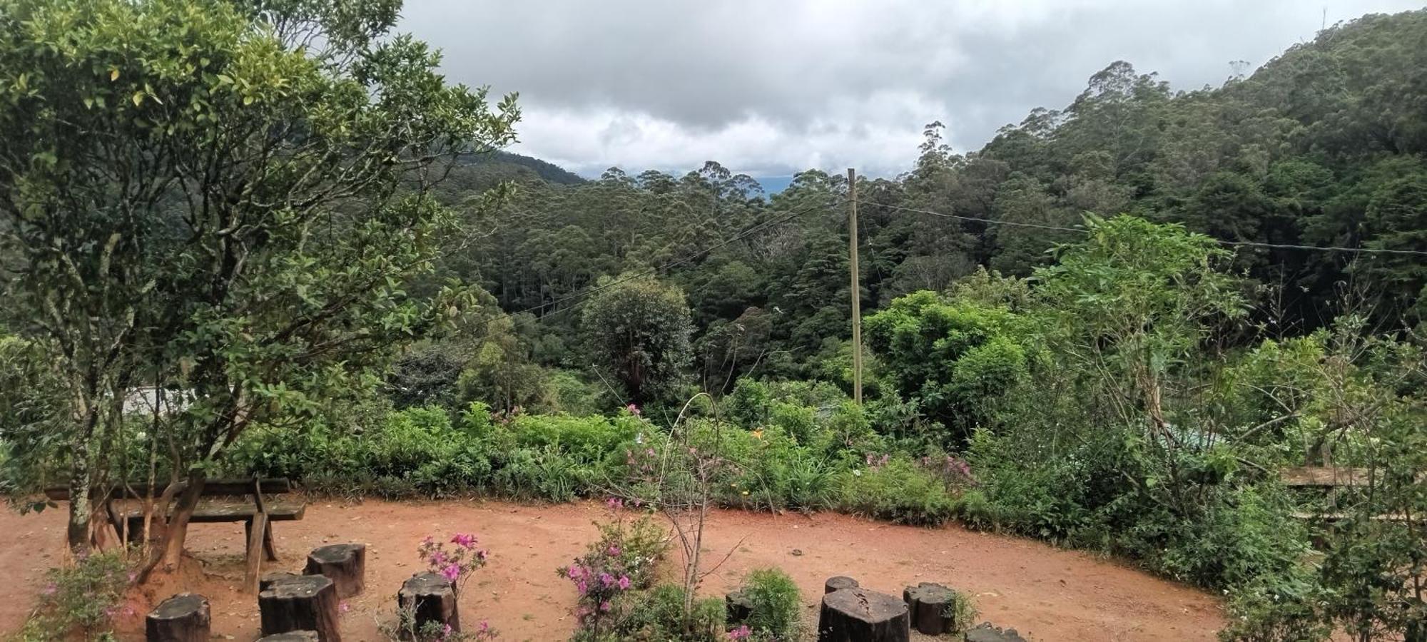 Forest Cyniciam Homestay Охия Номер фото