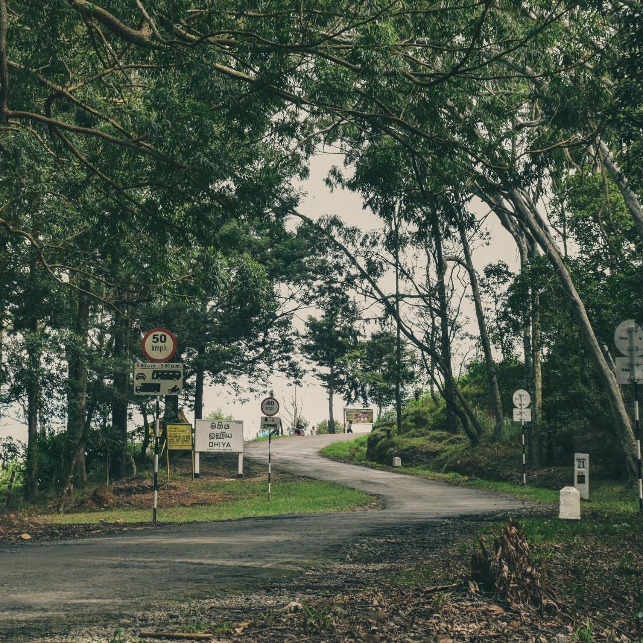 Forest Cyniciam Homestay Охия Экстерьер фото