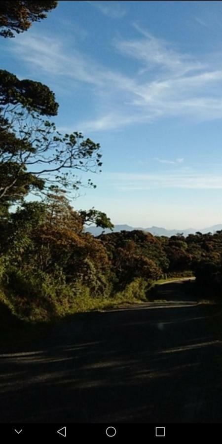 Forest Cyniciam Homestay Охия Экстерьер фото