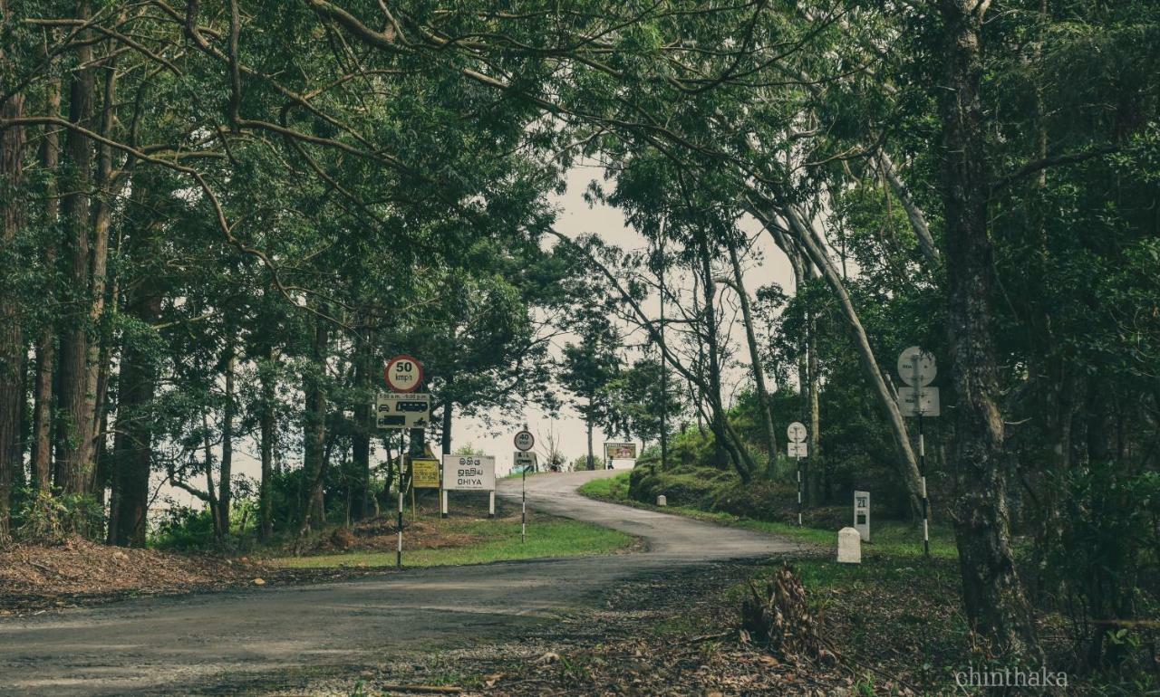 Forest Cyniciam Homestay Охия Экстерьер фото